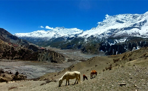 Scenic landscape seen during the Annapurna Circuit Trek, one of the top 5 best Nepal trekking packages for 2025 and 2026!