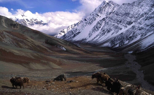 Outstanding scenery on the Manaslu Trekking Trail