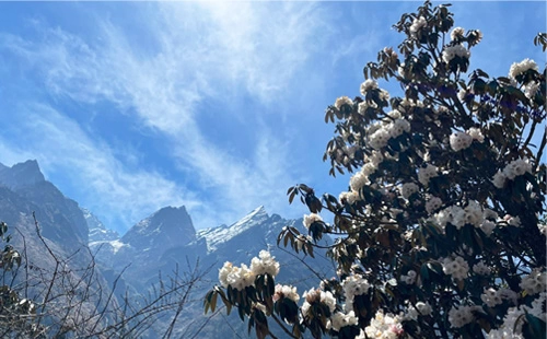 Langtang Valley Trek