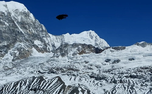 Langtang Himalayas