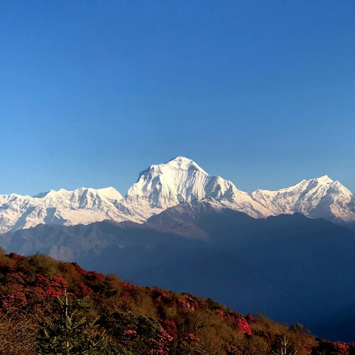 Dhaulagiri Region