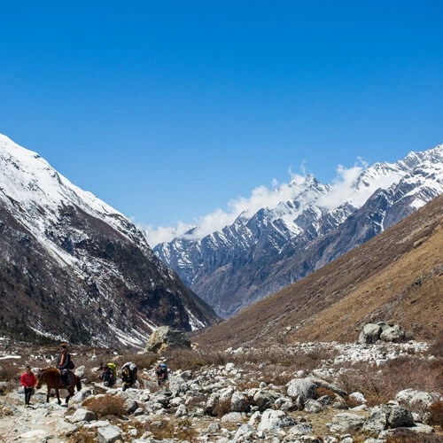 Langtang Region