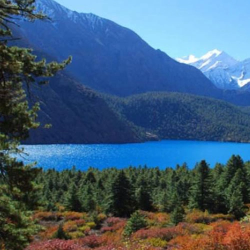 Phoksundo Trekking