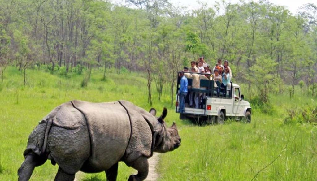 Annapurna Trek and Jungle Safari