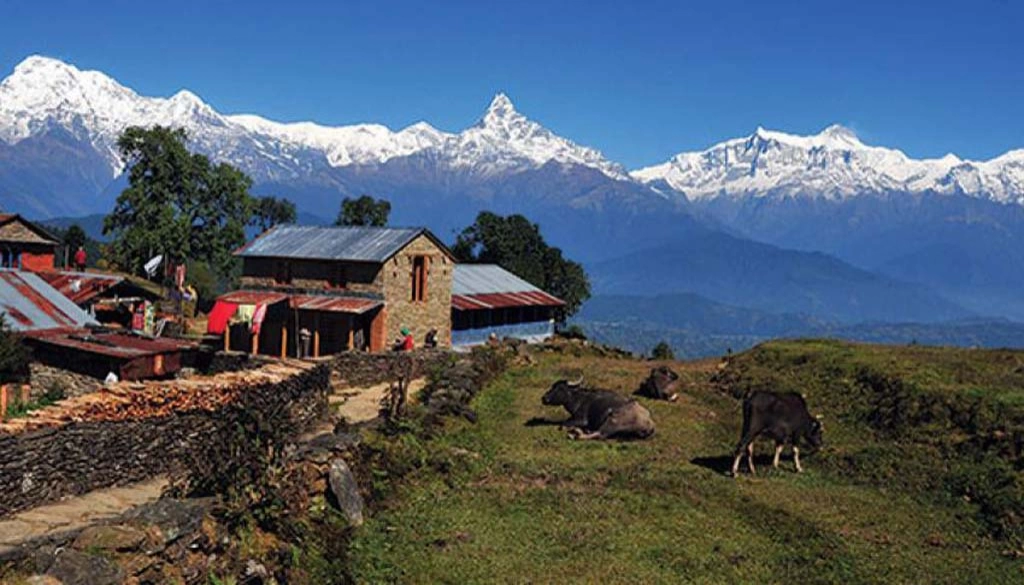 Annapurna Panchase Trekking