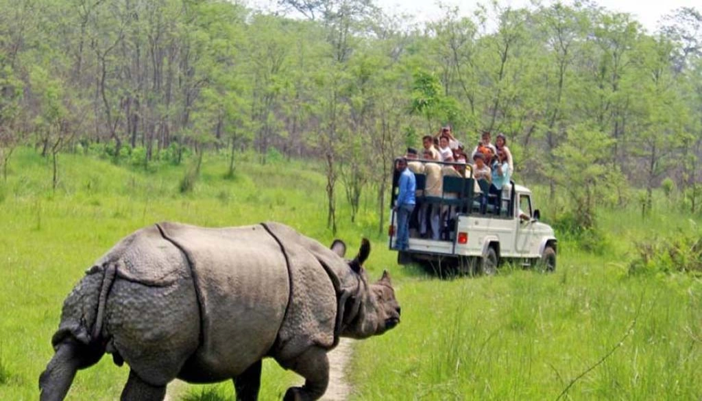 Chitwan Jungle Safari Tour-6 Days