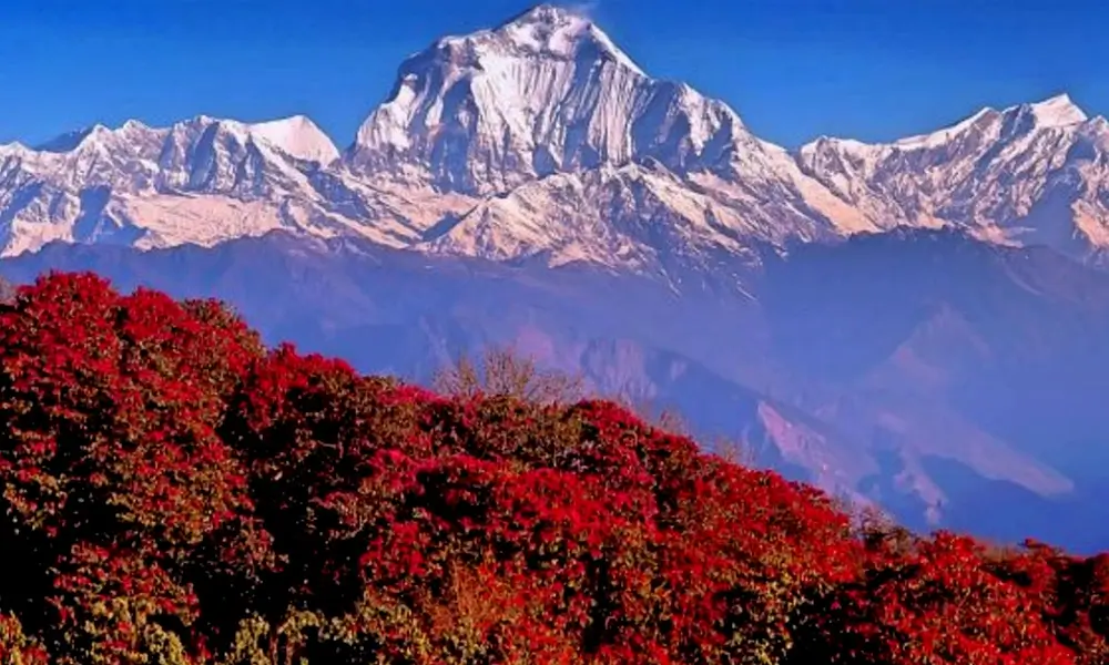 Ghorepani Poon Hill, the best route to trek the Annapurna region in 2024 and 2025