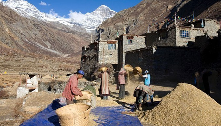 Humla Limi Valley