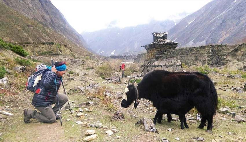 Tsum Valley Trek