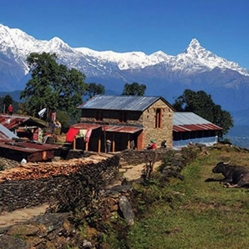 Annapurna Panchase Trekking