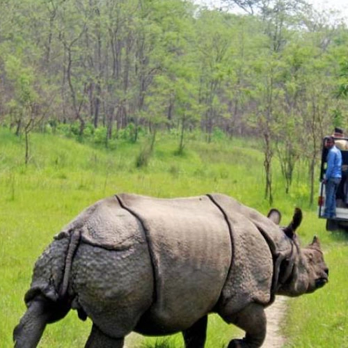 Chitwan Jungle Safari Tour-6 Days