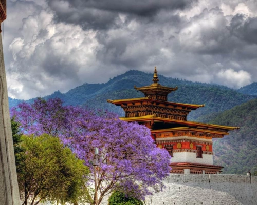 Bhutan Photo