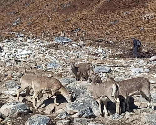 Tsum Valley And Manaslu