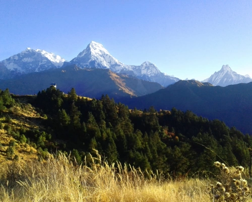  Ghorepani Poon Hill Trek 