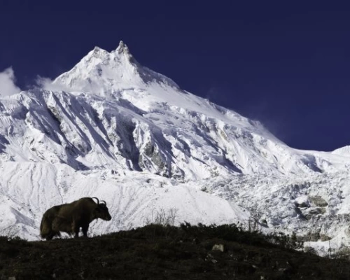  Manaslu