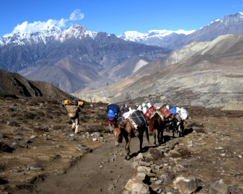 Jomsom