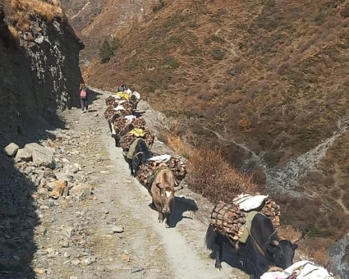 Tsum Valley And Manaslu