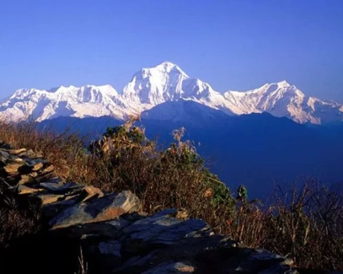  Ghorepani Poon Hill Trek 