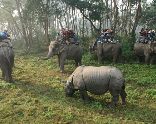  Chitwan National Park