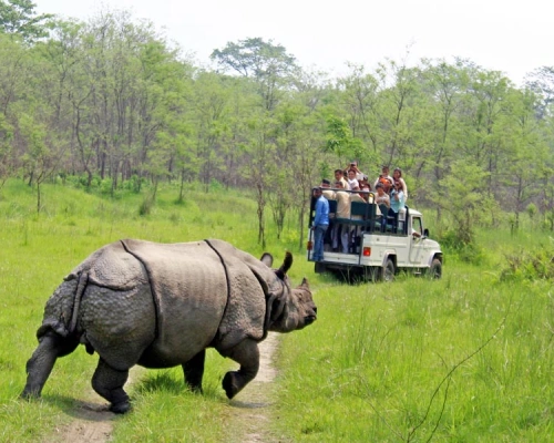 Chitwan 