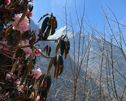 Baccab Cfc F F Ffaed