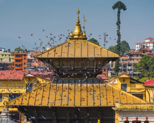 Beautiful Golden Roof Pashupatinath Temple 