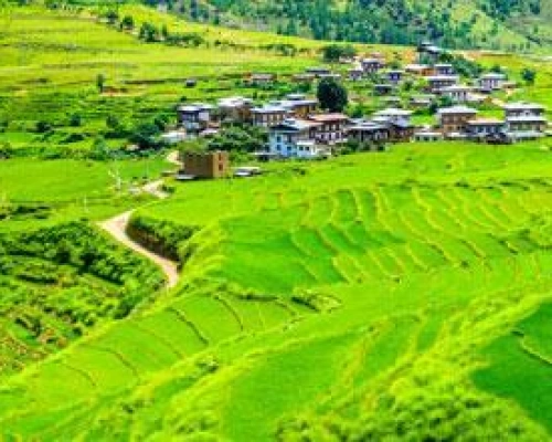Bhutan Tour 