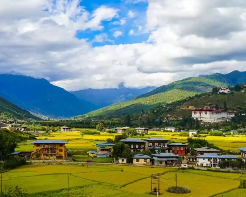 Druk Path Trek