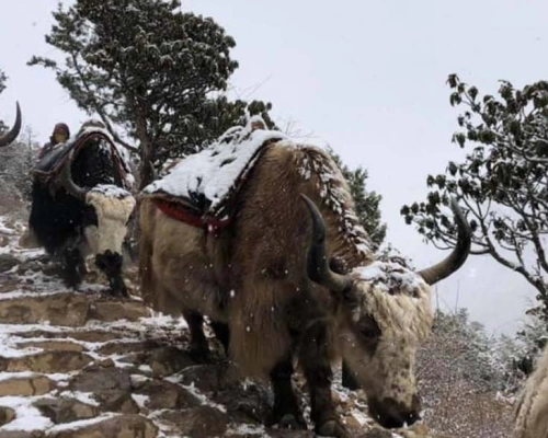 Everest Base Camp And Back To Lukla By Helicopter 