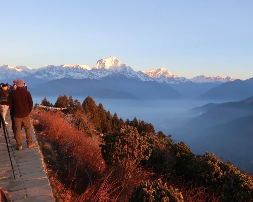 Ghorepani Poon Hill