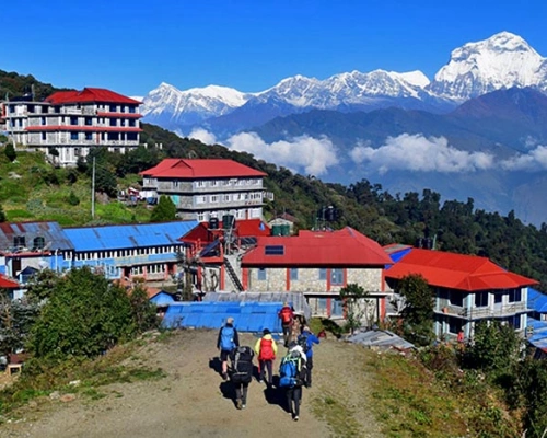 Ghorepani Village Dhaulagiri Mountain