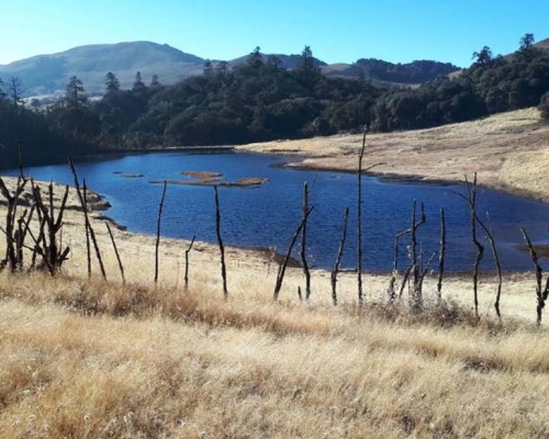 Mundhum Trek Virgin Trekking Trail Of Eastern Mountains 