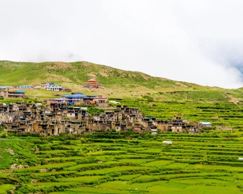 Nar Phu