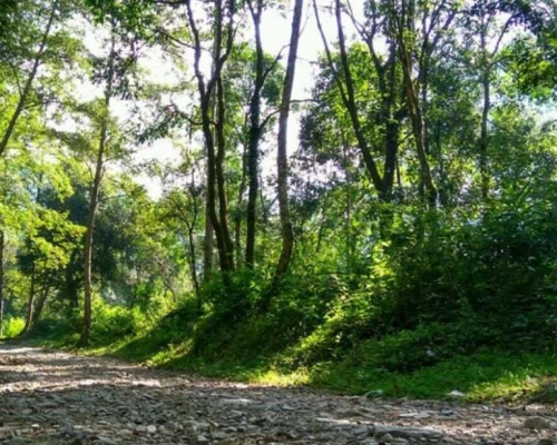 Shivapuri