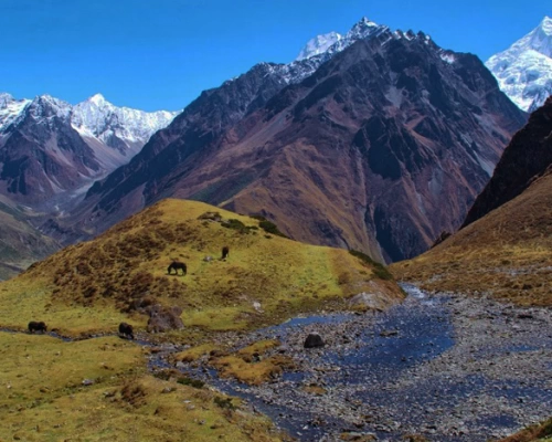 Tsum Valley