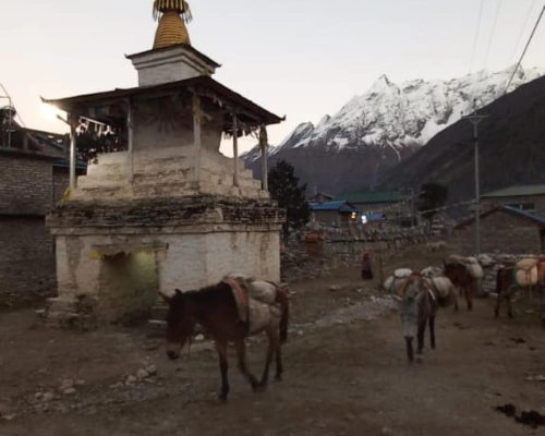 Tsum Valley And Kanchenjung
