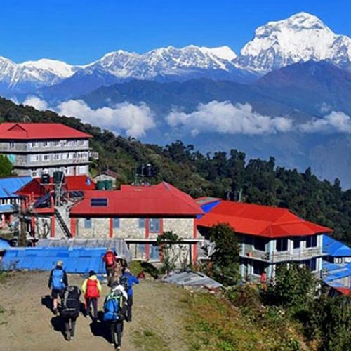 Ghorepani Poon Hill Trek